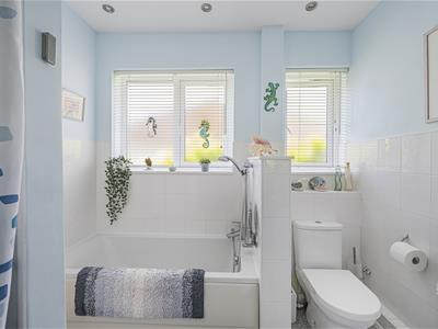Picture 19